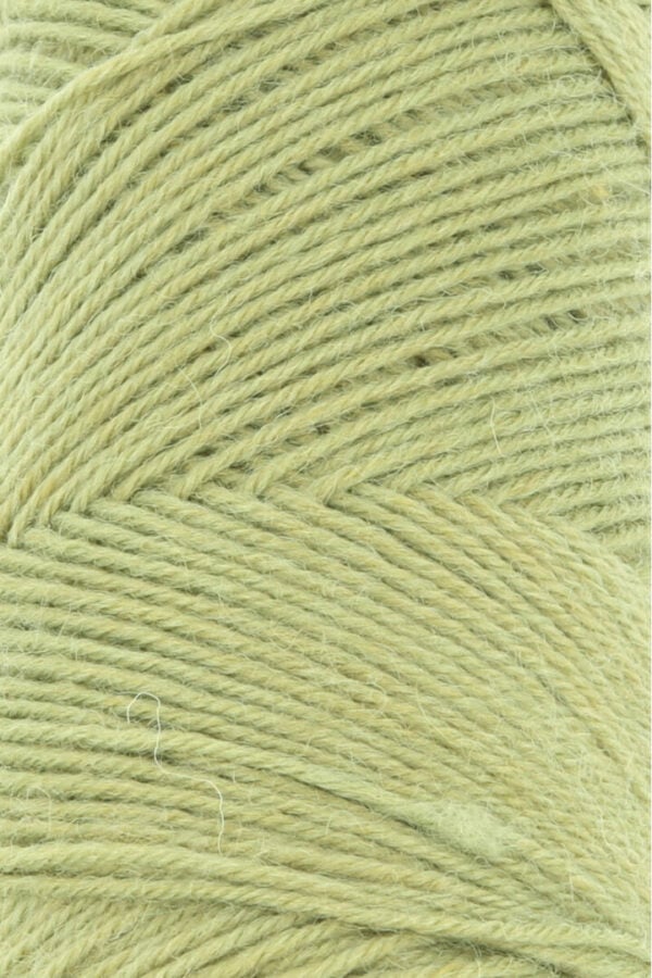 Lang Yarns Jawoll 116 kiwi