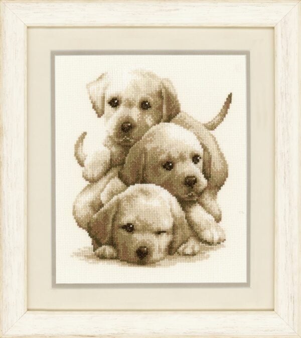 Vervaco Labrador Puppies (PN-0148781)