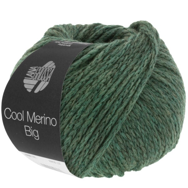 LG Cool Merino Big 205 Mosgroen