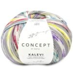 Katia Kalevi Socks 200