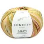 Katia Kalevi Socks 205