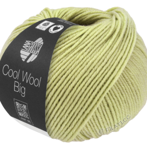Lana Grossa Cool Wool Big 1029 Berkengroen