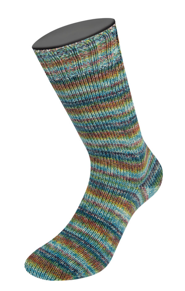 LG Landlust Die Sockenwolle 813