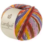 Lana Grossa LL Die Sockenwolle 824