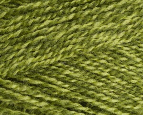 Stylecraft Extra Special DK 1124 Greengage