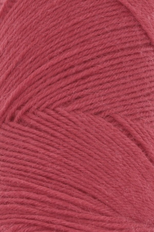 Lang Yarns Jawoll 060 rood