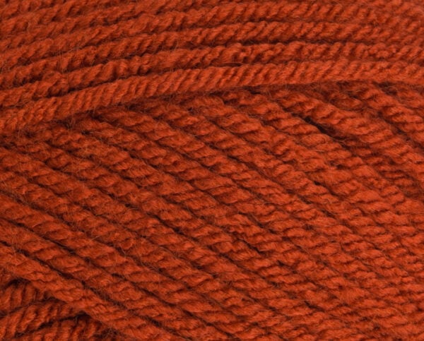 Stylecraft Special Chunky 1029 Copper